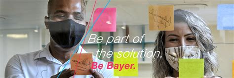 bayer south africa careers