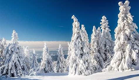 Bayerischer Wald im Winter: Schneebedeckter Traum - [GEO]