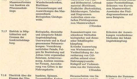 Lehrplan für das Gymnasium in Bayern G8 (komplett) | ISBN 978-3-937082