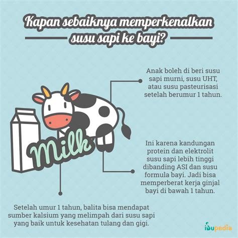 bayi+susu+sapi