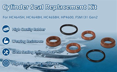 Baystar Seal Replacement