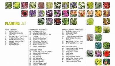 Bbc Gardeners World Plant List