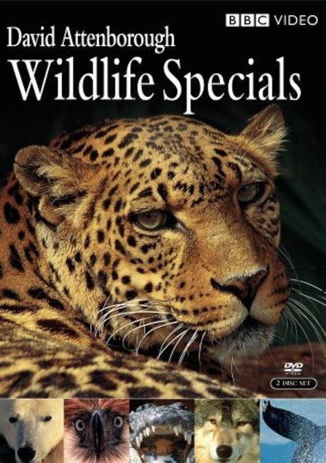 bbc big british wildlife documentary