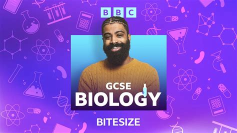 bbc bitesize biology gcse revision