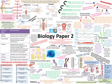 bbc bitesize biology paper 2 triple