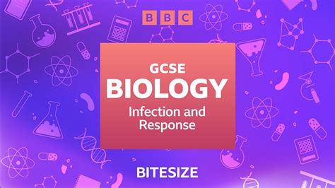 bbc bitesize gcse biology infection