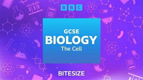 bbc bitesize ks3 cells test