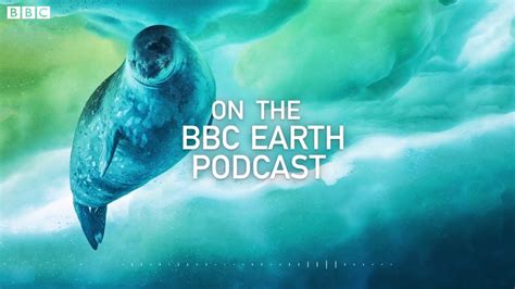 bbc earth youtube videos