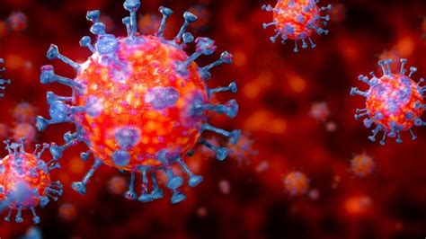 bbc news london coronavirus