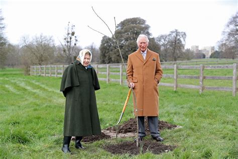 bbc news prince charles trees queen jubilee