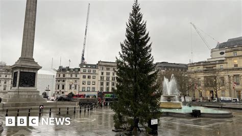 bbc news trafalgar square