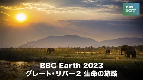 bbc2023