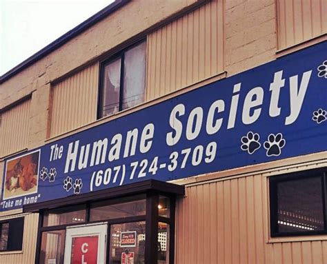bc humane society binghamton ny