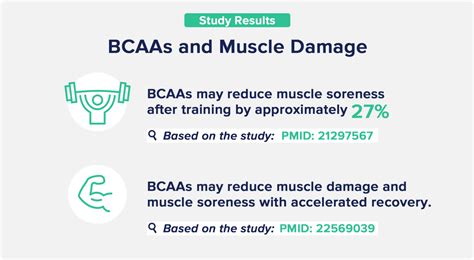 Bcaa Plus Benefits
