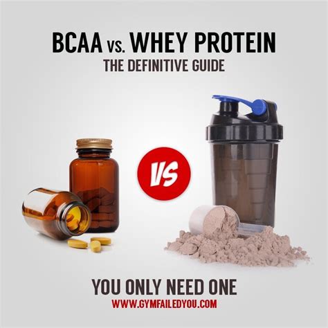 Bcaa Vs Whey Protein Reddit