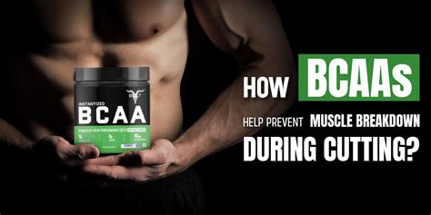 Bcaas When Cutting