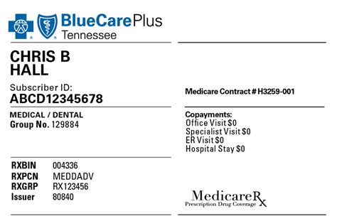 bcbs of tennessee payment