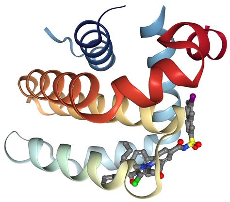 bcl-2 protein structure