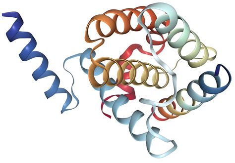 bcl-xl protein structure and its function