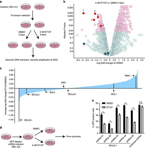 bcl2l1 gene