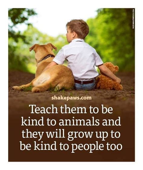89 Best Quotes About Kindness for a Better World
