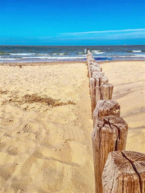 beach Netherlands