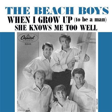 beach boys when i grow up to be a man lyrics
