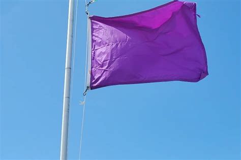 Beach Flags Purple