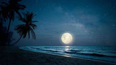 beach pictures at night