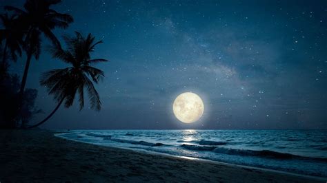 beach pictures night