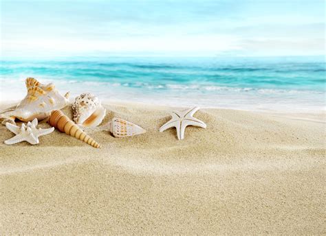 Discover the beauty of a Beach Sand Background: A pictorial guide to enhance your design