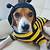 beagle dog costume