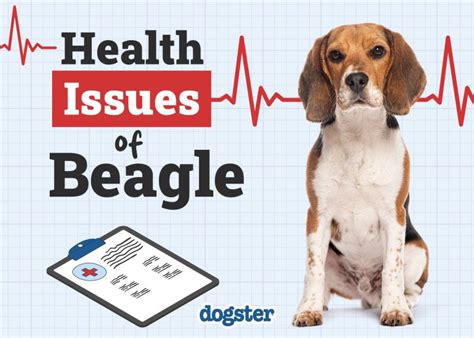 beagle problems health