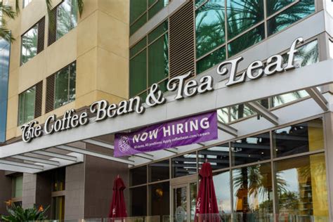 Bean And Leaf Hiring