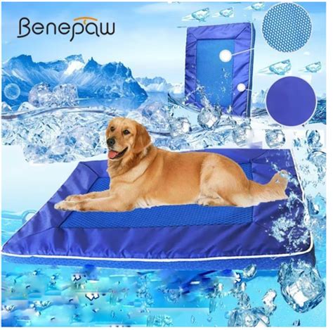 Bean Bag Dog Pool
