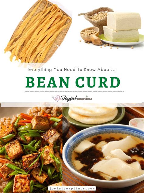 Bean Curd Artinya