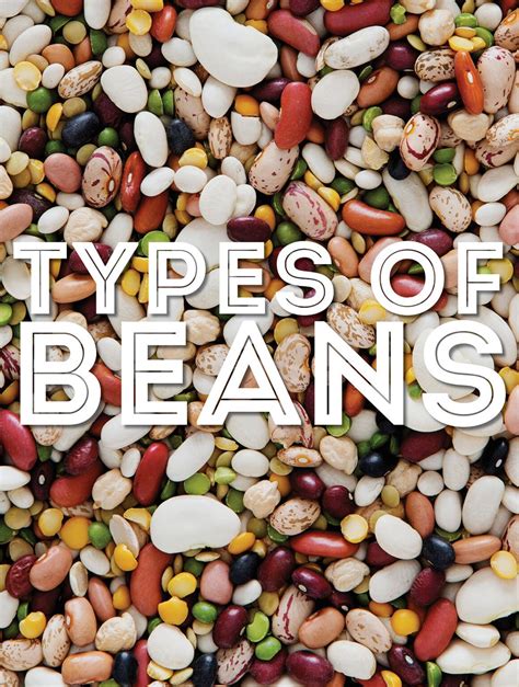 Bean Is Expected To Be Of Type