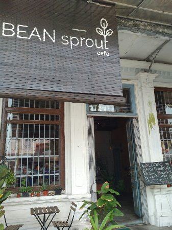 Bean Sprout Restaurant