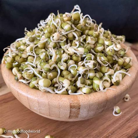 Bean Sprouts At Home