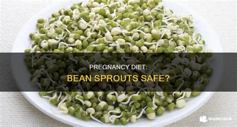 Bean Sprouts Pregnancy
