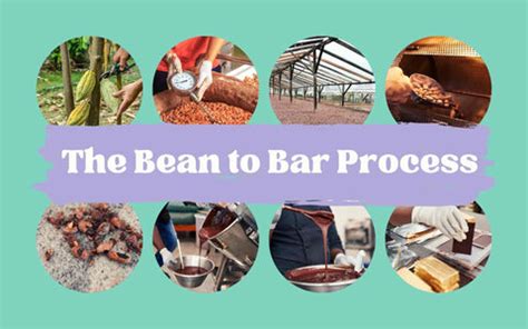 bean to bar process