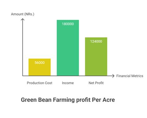 Bean Yield Per Acre