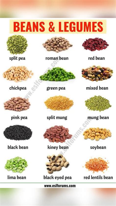 Beans And Legumes Examples