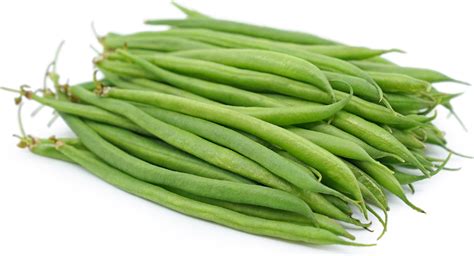 Beans French Scientific Name