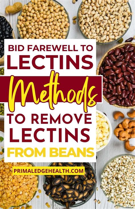 Beans Low In Lectins
