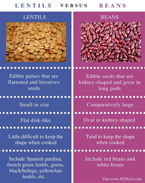 Beans Vs Lentils
