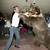 bear wrestling alabama