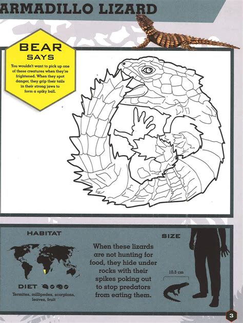 bear grylls coloring pages