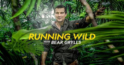 bear grylls movies and tv shows