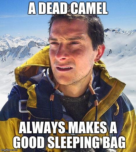 bear grylls sleeps in camel